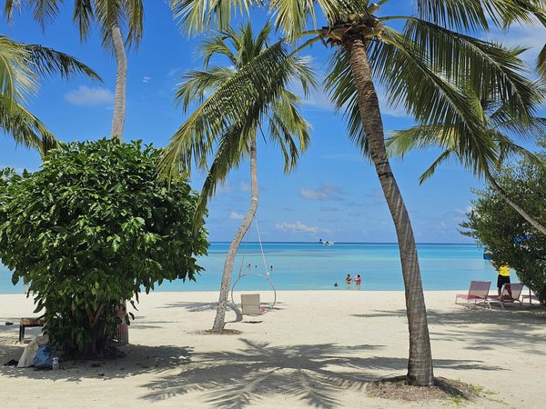 Évasion Bien-Être au Cœur de la Splendide Montagne Sainte-Victoire