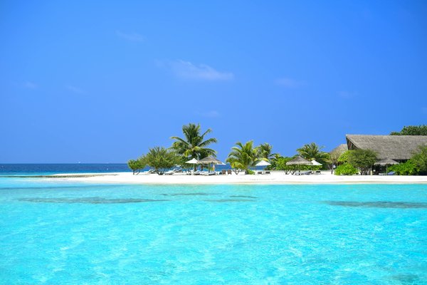 Aventures Culinaires en Voyage : Délices Faciles pour les Backpackers en Exploration